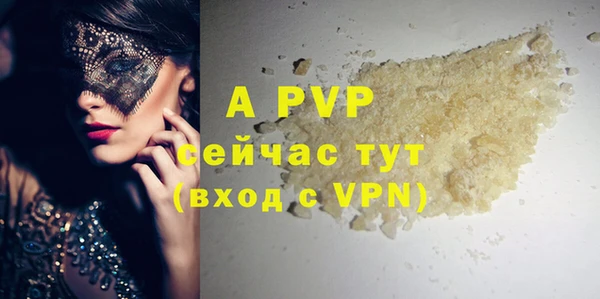 шишки Белоозёрский