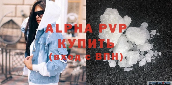 прущие грибы Беломорск