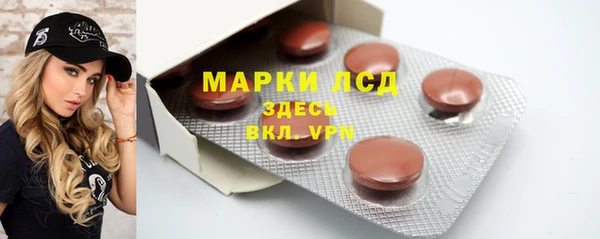 шишки Белоозёрский