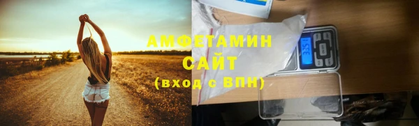 шишки Белоозёрский