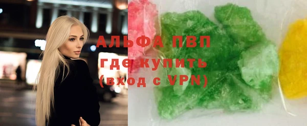прущие грибы Беломорск