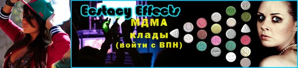 бошки Белокуриха