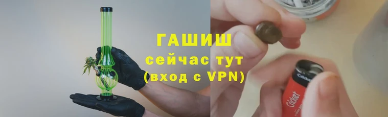 бошки Белокуриха