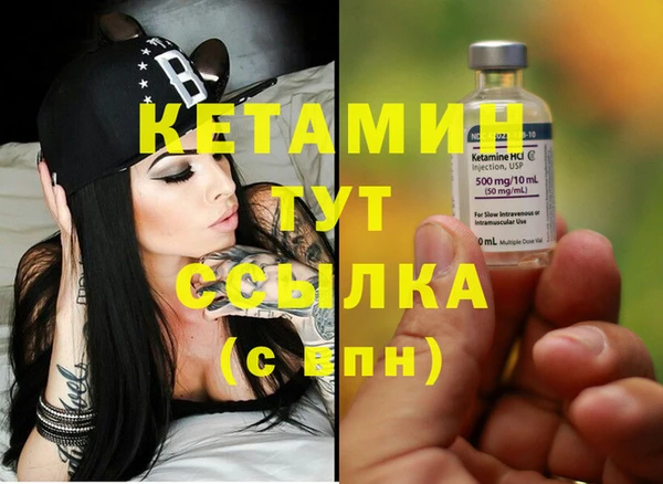 шишки Белоозёрский