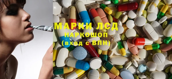 прущие грибы Беломорск