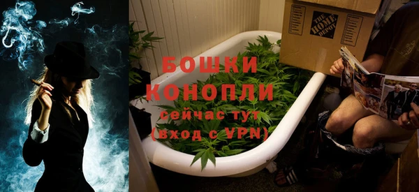 прущие грибы Беломорск