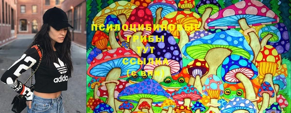 бошки Белокуриха