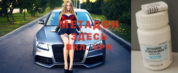 прущие грибы Беломорск